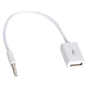 Powermaster Dişi Aux Stereo USB Kablo