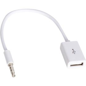 Powermaster Dişi Aux Stereo USB Kablo
