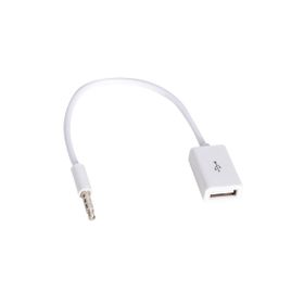 Powermaster Dişi Aux Stereo USB Kablo
