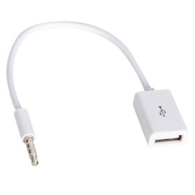 Powermaster Dişi Aux Stereo USB Kablo