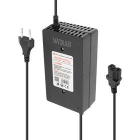 Powermaster Elektrikli 36 V 20 A Bisiklet Şarj Cihazı