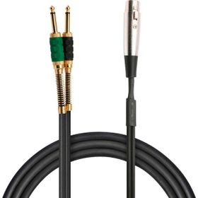 Powermaster Magicvoice LD369A Canon Erkek + 6.3 mm Mono Erkek 10 Metre Kablo