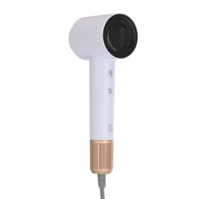 Powertec TR-5555 Beyaz Plazma Saç Kurutma ve Fön Makinesi