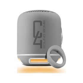 Powerway C4 Gümüş Bluetooth Hoparlör