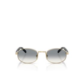 Prada 0PR B53S ZVN02C 49 Unisex Güneş Gözlüğü
