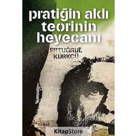 Pratiğin Aklı Teorinin Heyecanı - Ertuğrul Kürkçü
