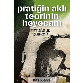 Pratiğin Aklı Teorinin Heyecanı - Ertuğrul Kürkçü
