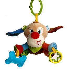 Prego Köpek Teddy