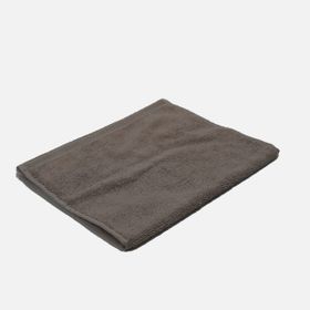 Premier Home İme 35x45 cm Vizon El Havlusu