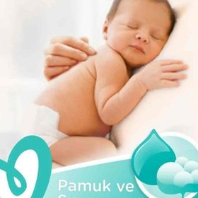 Prima Hassas Ciltler 52x24'lü 1248 Yaprak Islak Mendil