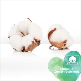 Prima Pure No:5 Junior 68 Adet Bebek Bezi