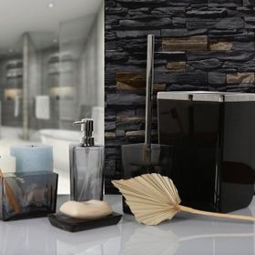 Primanova M-SA12-16 Biga Şeffaf Krom Tuvalet Fırçası