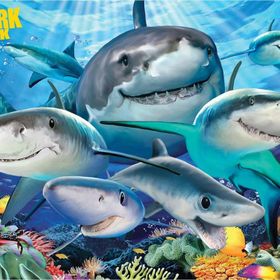 Prime 10668 3D Discovery Köpek Balıkları 100 Parça Puzzle