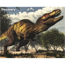 Prime 20925 3D Discovery Tyrannosaurus Rex 63 Parça Puzzle