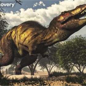 Prime 20925 3D Discovery Tyrannosaurus Rex 63 Parça Puzzle