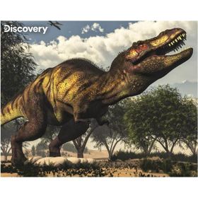 Prime 20925 3D Discovery Tyrannosaurus Rex 63 Parça Puzzle