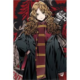 Prime 35805 3D Harry Potter Hermione Granger Figür ve 300 Parça Puzzle