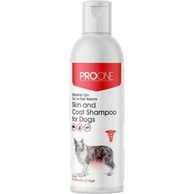 Pro One Köpekler İçin 250 ml Deri ve Tüy Bakım Şampuanı