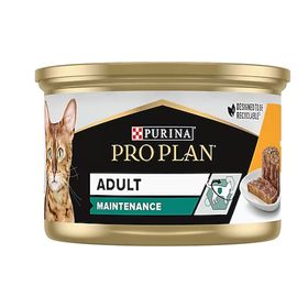 Pro Plan 12x85 gr Maintenance Tavuklu Yetişkin Kedi Konservesi