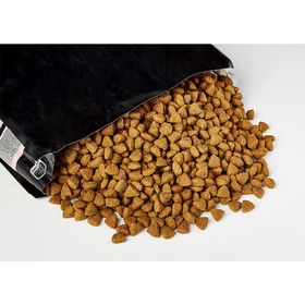 Pro Plan Adult Large Athlethic Somonlu Yetişkin 14 kg Köpek Maması