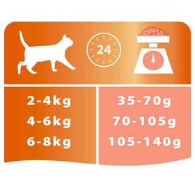 Pro Plan Derma Plus Somonlu 10 kg Yetişkin Kedi Maması