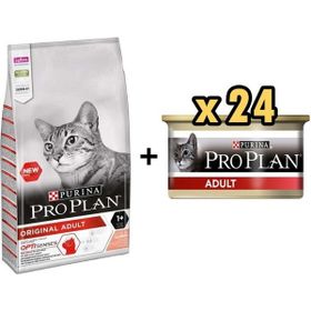 Pro Plan Somonlu 3 kg Yetişkin Kedi Maması + 24x85 gr Adult Tavuk Etli Yetişkin Kedi Konservesi