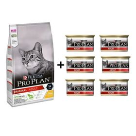 Pro Plan Somonlu Kedi Maması 3 kg + 6x85 gr Proplan Adult Tavuk Etli Yetişkin Kedi Konservesi