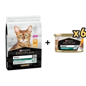 Pro Plan Tavuklu Yetişkin 10 kg Kedi Maması + 6x85 gr Proplan Adult Tavuk Etli Yetişkin Kedi Konservesi