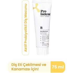 Probident Akgünlük Özüt İlaveli 75 ml Diş Macunu