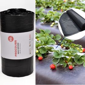 Procover 50 mt 130 cm 80 mic Siyah Malç Çilek Naylonu