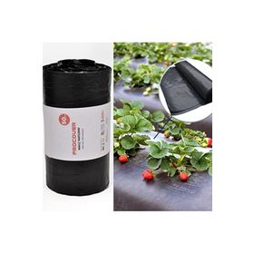 Procover 50 mt 130 cm 80 mic Siyah Malç Çilek Naylonu