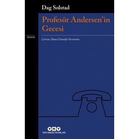 Profesör Andersen'in Gecesi - Dag Solstad