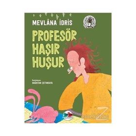 PROFESÖR HAŞIR HUŞUR - MEVLANA İDRİS