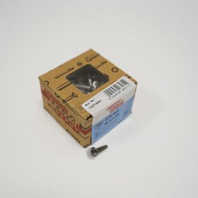 Profi Depot Yıldız Başlı Vida