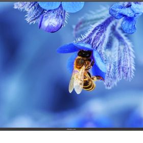Profilo 43PA305E 43" 109 Ekran LED TV