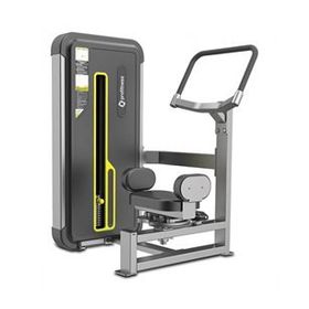 Profitness A3018 Rotary Torso