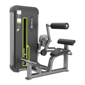 Profitness A3031 Back Extension