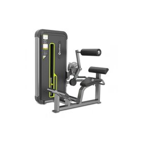 Profitness A3031 Back Extension