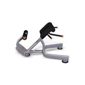 Profitness BK134 Roman Chair