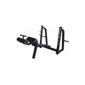 Proforce KS-02 Decline Bench Press
