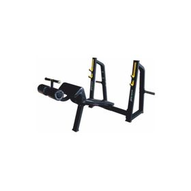 Proforce KS-02 Decline Bench Press