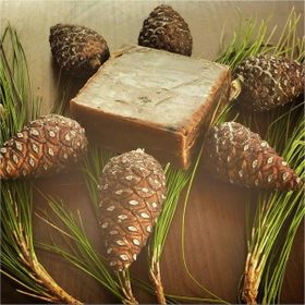 ProHerbal 100 gr Çam Kozalağı Sabunu