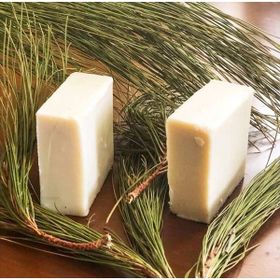 ProHerbal 100 gr Çam Terebentin Sabunu