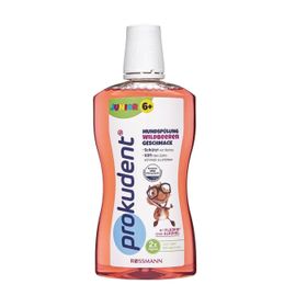 Prokudent 6 Yaş Üstü Orman Meyve Aromalı 500 ml Çocuklar İçin Ağız Bakım Suyu