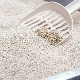 Proline Marsilya Sabun Kokulu Topaklanan 20 lt Bentonit Kedi Kumu