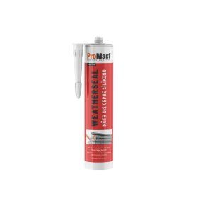 Promast PMS 455 Facade Antrasit Gri 310 ml Dış Cephe Silikonu
