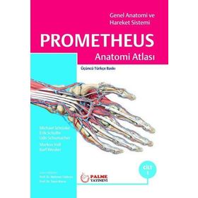 Prometheus Anatomi Atlası 1. Cilt - Markus Voll Michael Schünke Erik Schulte Udo Shumacher Karl Wesker