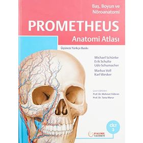 Prometheus Anatomi Atlası Cilt 3 Baş Boyun ve Nöroanatomi - Palme Yayınevi