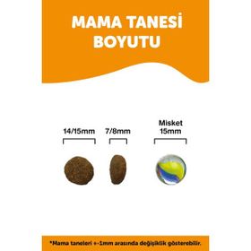 Pronature Derma Shine Somonlu ve Pirinçli 12 kg Orta ve Büyük Irk Yetişkin Kuru Köpek Maması