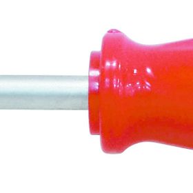 ProScr SCR02561 4x100 mm Yıldız Uçlu Tornavida